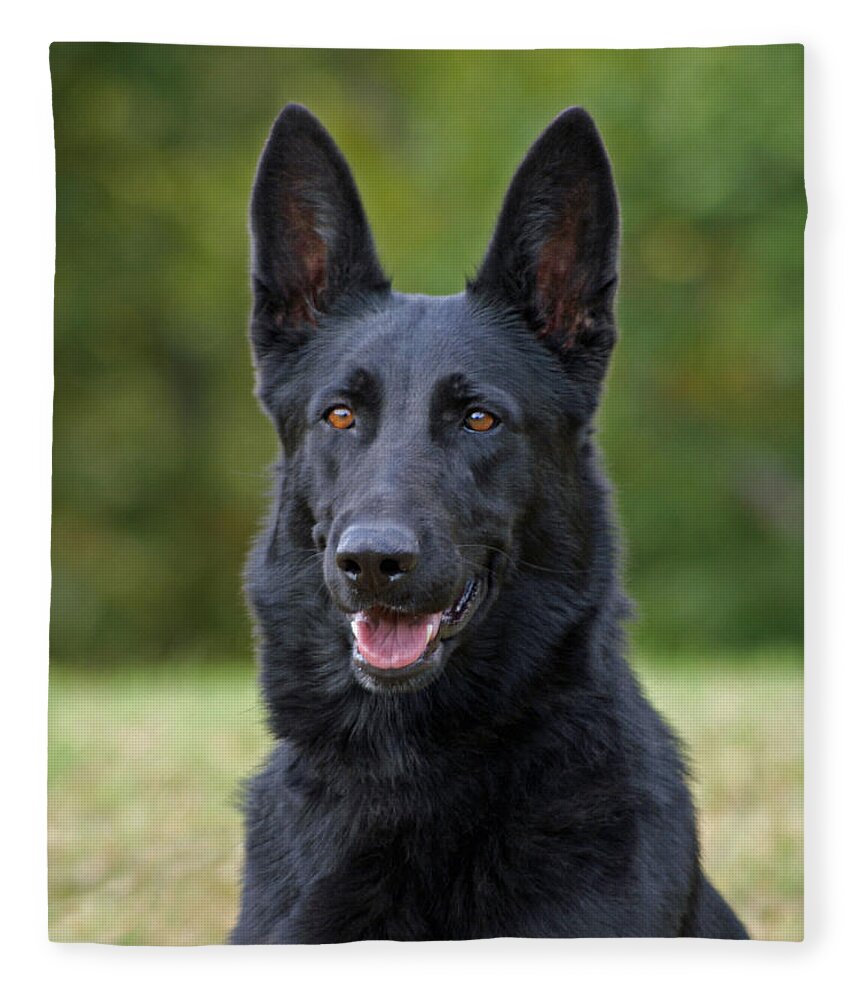 Black German Shepherd Dog Fleece Blanket For Sale By Sandy Keeton