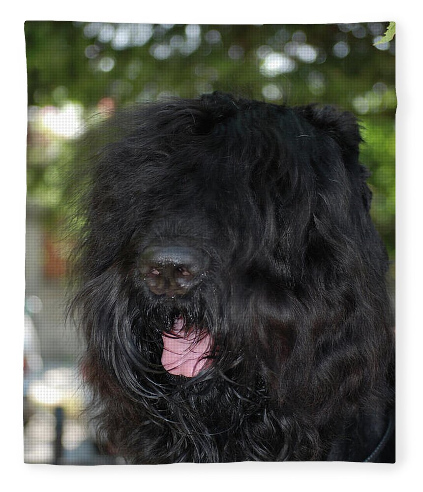Bullet A Black Russian Terrier Fleece Blanket featuring the photograph Black Russian Terrie by Amir Paz