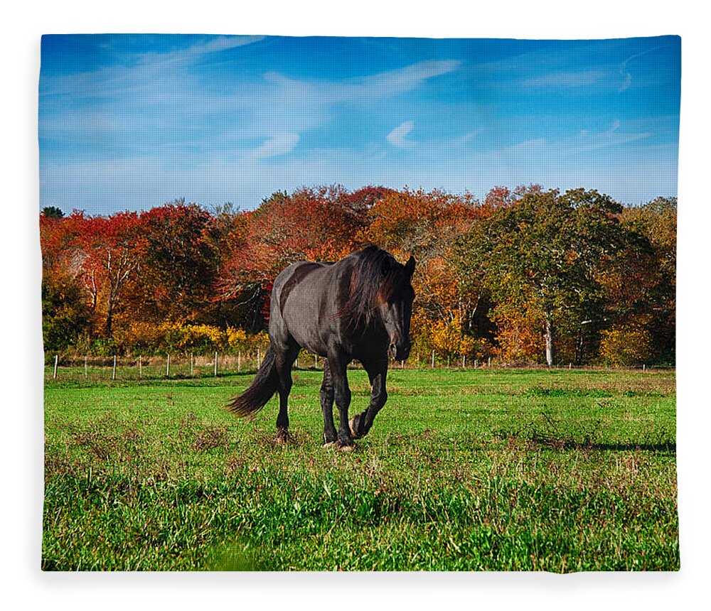 #jefffolger Fleece Blanket featuring the photograph Black stalion in the fall colors by Jeff Folger