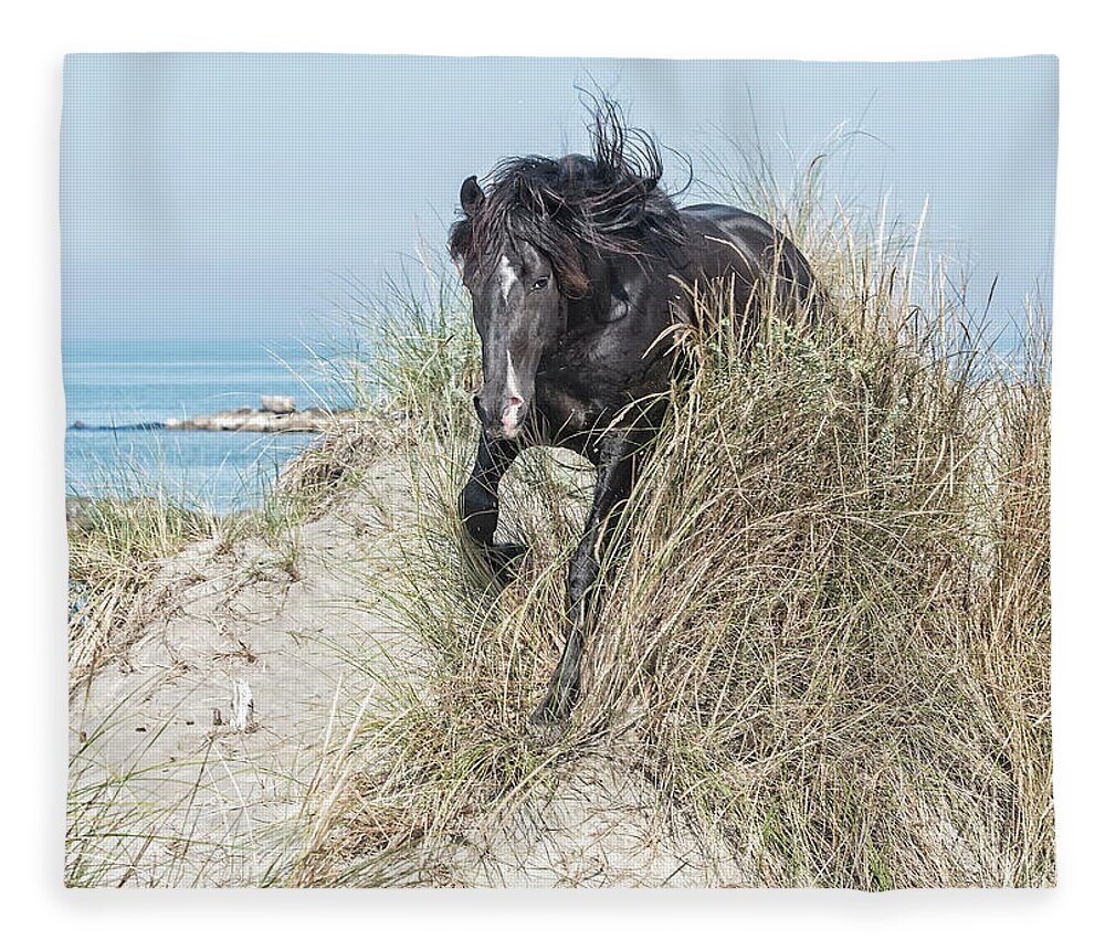 Black Fleece Blanket featuring the photograph Black Stallion #2 by Wade Aiken