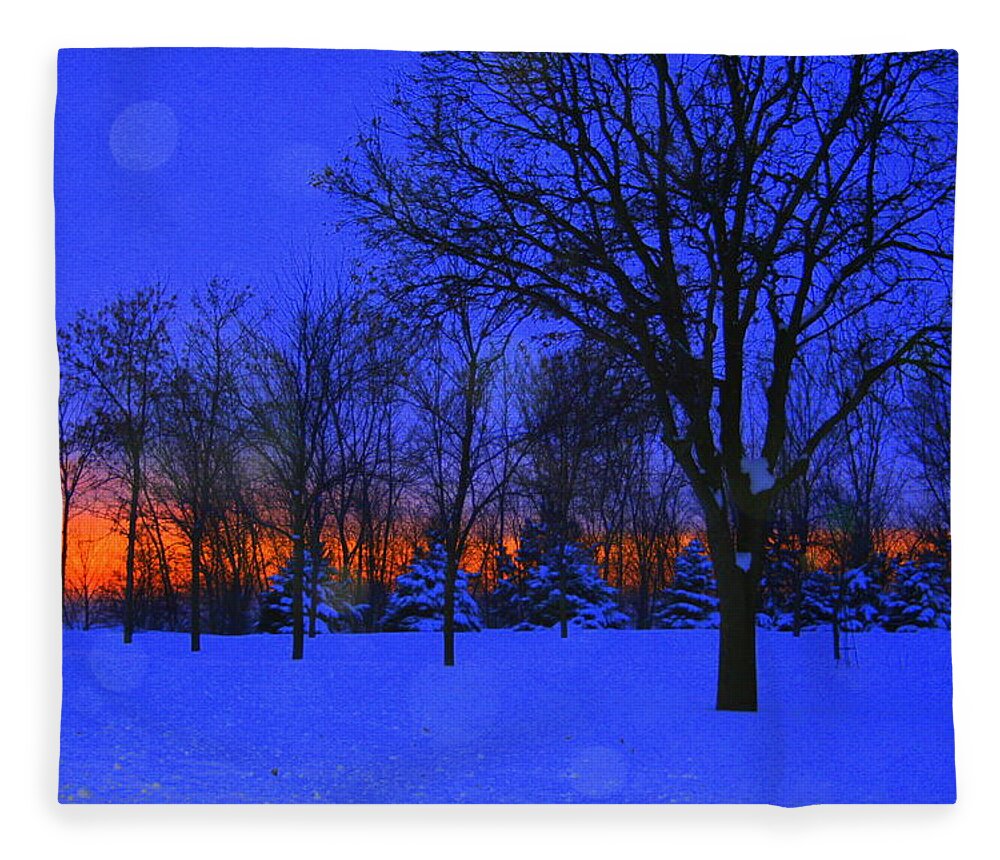 Landscape Fleece Blanket featuring the photograph Blizzard Blues 2 by Julie Lueders 