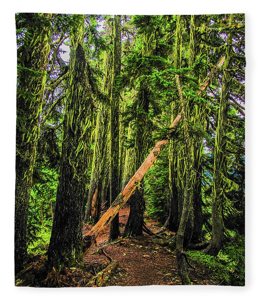 Art Fleece Blanket featuring the photograph Blocked Trail by Jason Brooks