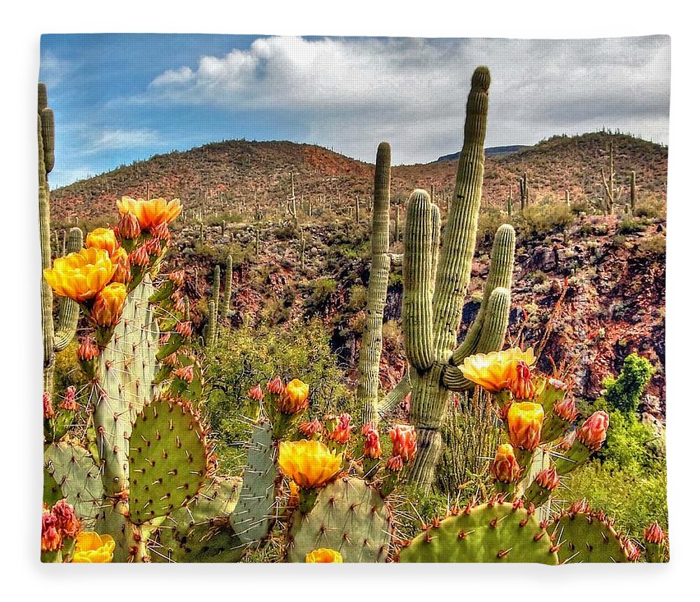 Art Fleece Blanket featuring the photograph Bloomin' Cactus by Richard Gehlbach
