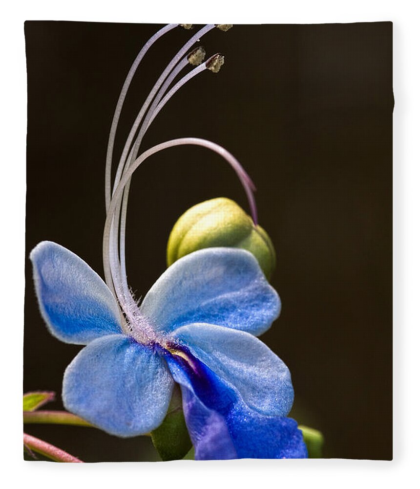 Flower Fleece Blanket featuring the photograph Blooming Butterfly by Christopher Holmes