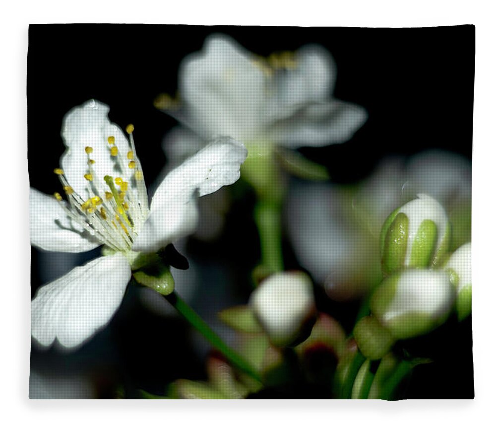 Cherry Flower Fleece Blanket featuring the photograph Blossom by Wolfgang Stocker