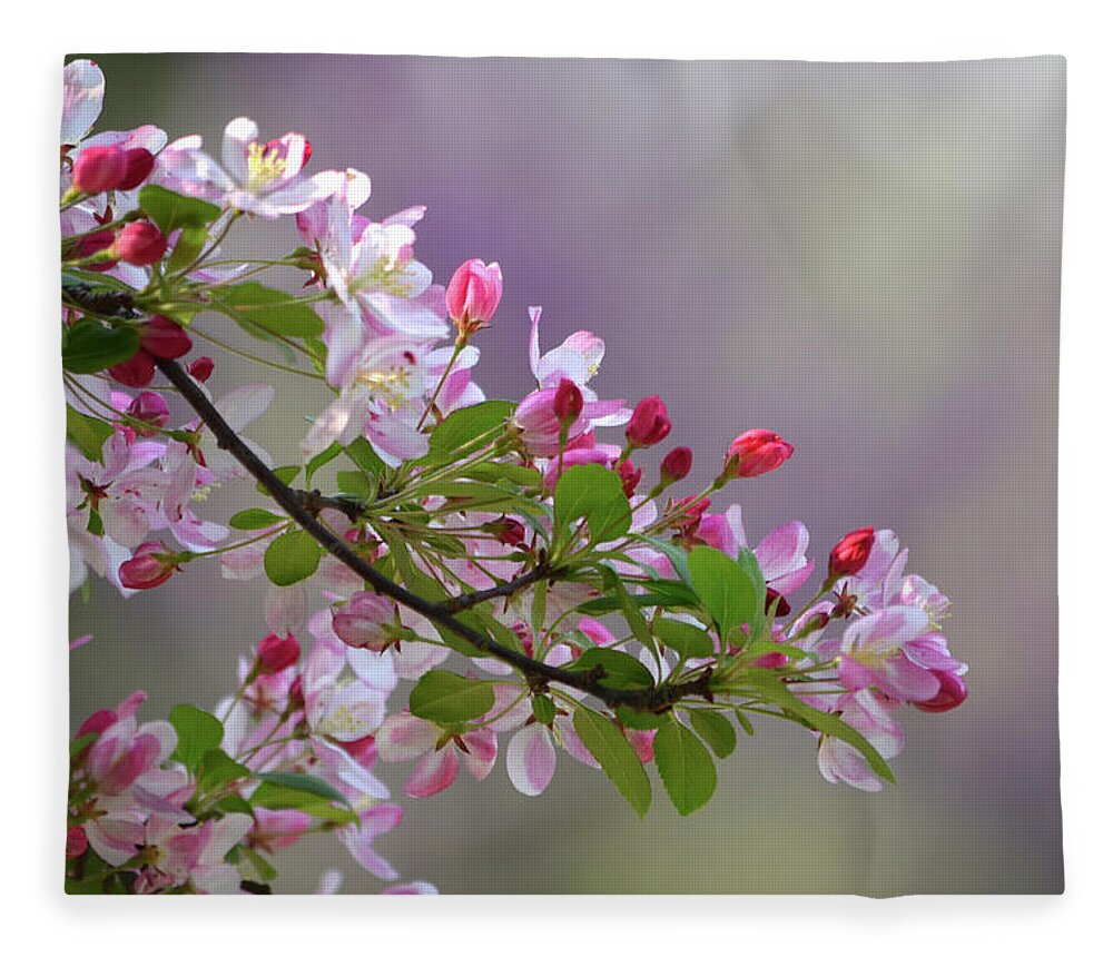 Flower Fleece Blanket featuring the photograph Blossoms and Bokeh by Ann Bridges