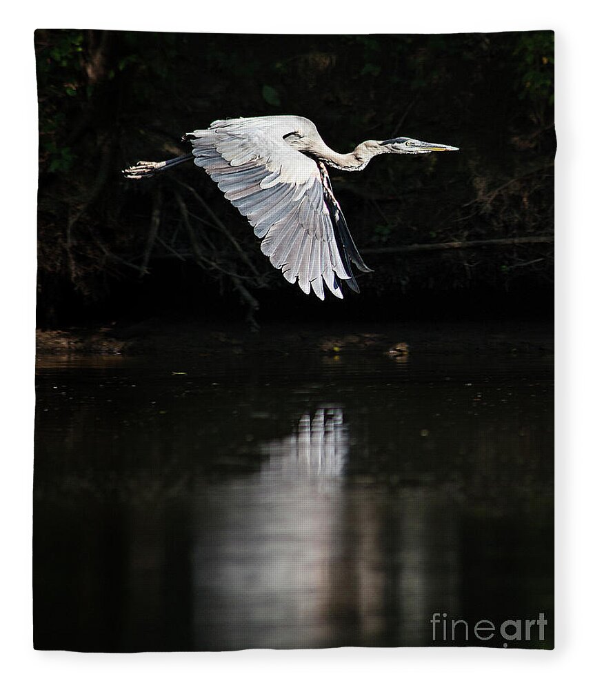 Heron Fleece Blanket featuring the photograph Blue Ballet by Tom Cameron