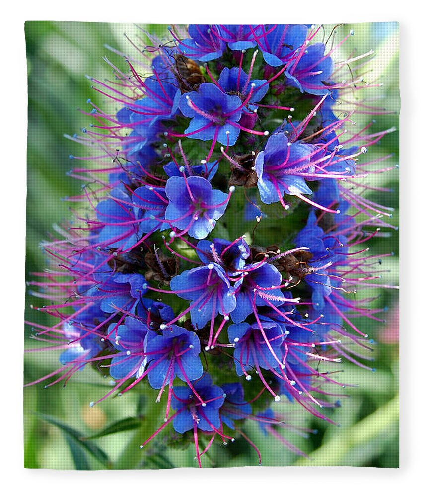 Flower Fleece Blanket featuring the photograph Blue Flowers by Amy Fose