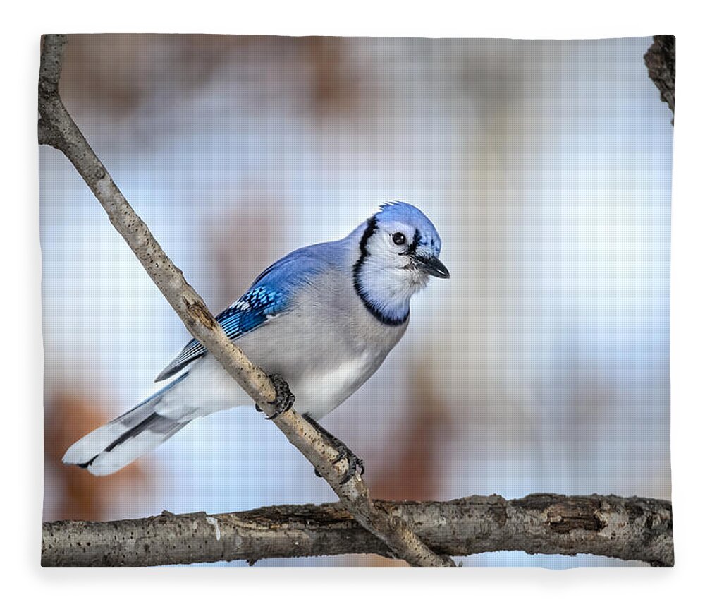 Bird Fleece Blanket featuring the photograph Singing My Song by Steven Santamour