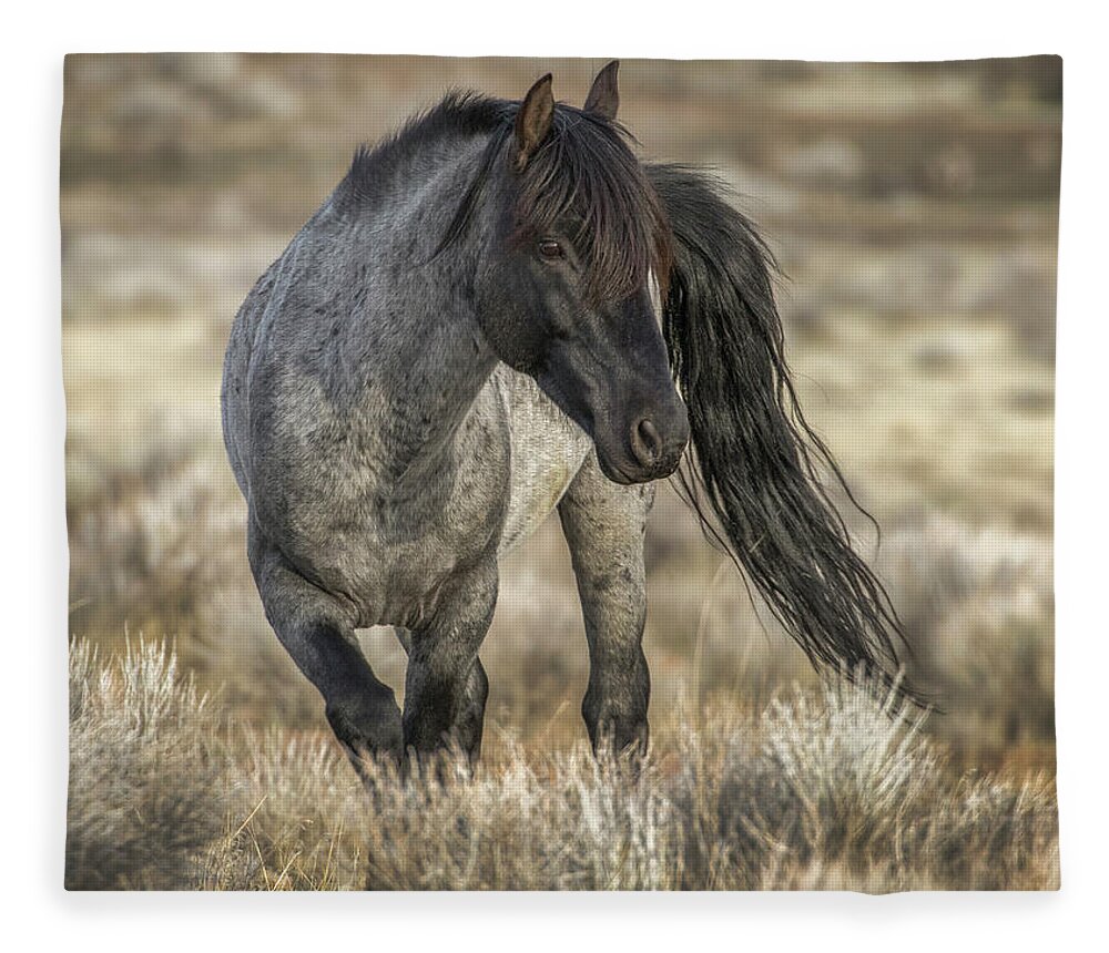 Mustang Fleece Blanket featuring the photograph Blue by John T Humphrey