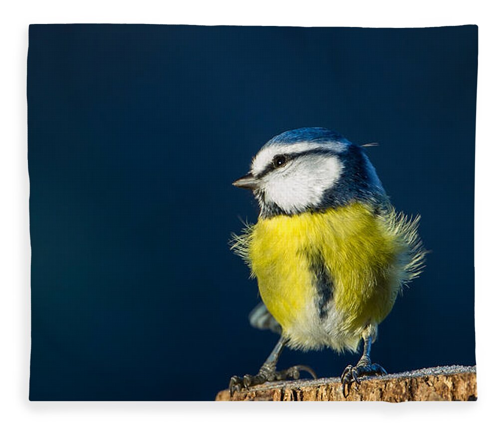 Blue On Blue Fleece Blanket featuring the photograph Blue on Blue by Torbjorn Swenelius