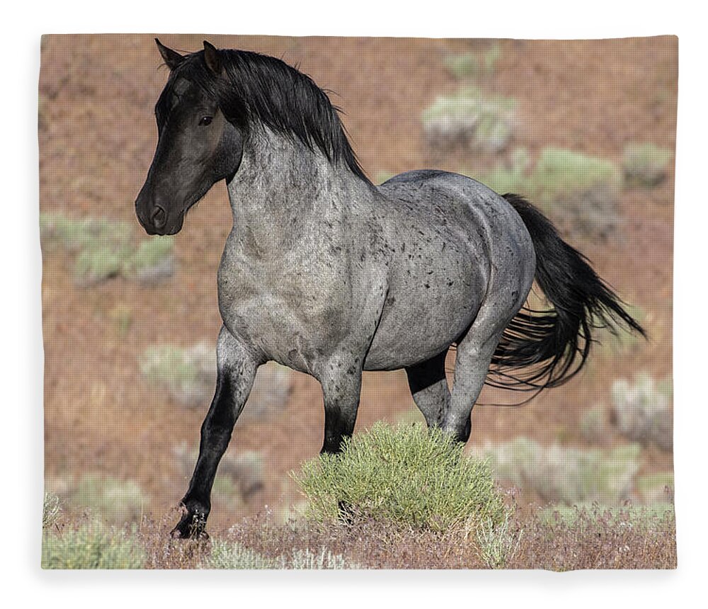 Wild Horse Fleece Blanket featuring the photograph Blue surprise by John T Humphrey