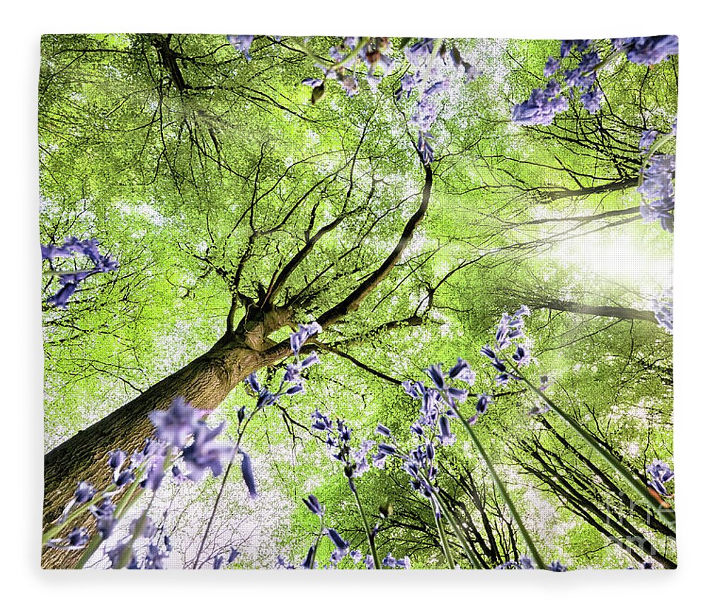 Flowers Fleece Blanket featuring the photograph Bluebells from worms eye view by Simon Bratt