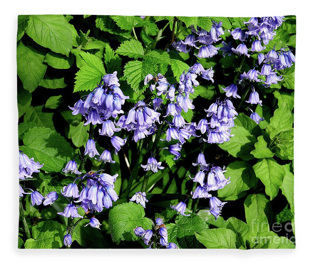 Bluebells Fleece Blanket featuring the photograph Bluebells hiding their beauty in a hedgerow by Brenda Kean