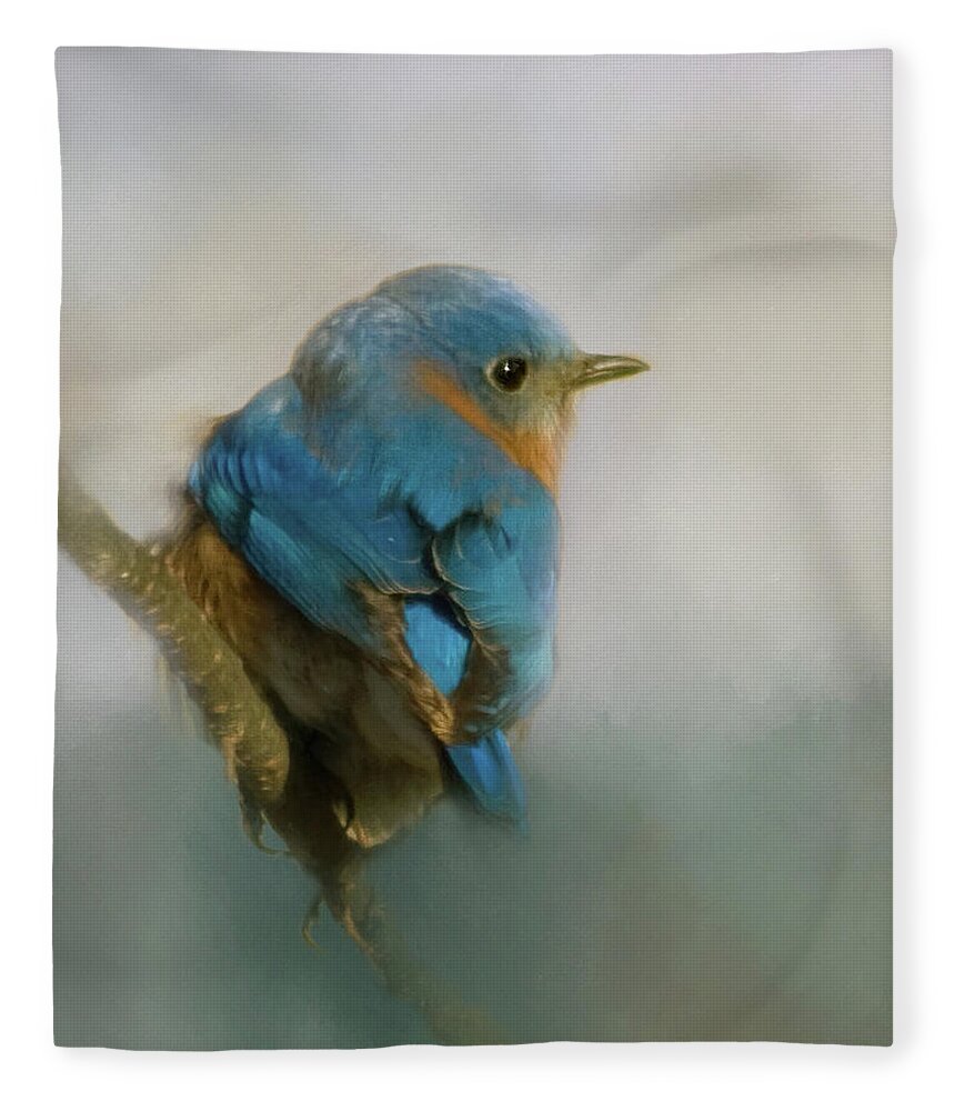 Eastern Fleece Blanket featuring the photograph Bluebird by Lana Trussell