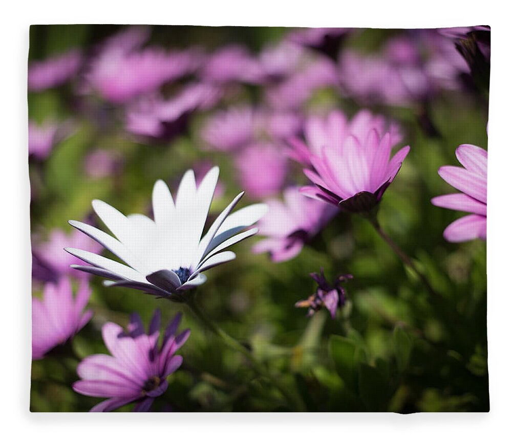 Flower Fleece Blanket featuring the photograph Born to Stand Out by Lora Lee Chapman