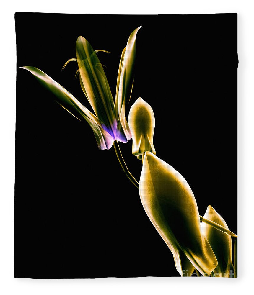 Art Fleece Blanket featuring the digital art Botanical Study 1 by Brian Drake - Printscapes