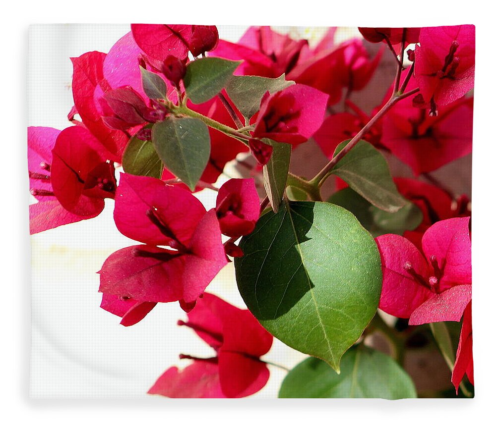 Red Fleece Blanket featuring the photograph Bougainvillea Photograph by Kimberly Walker