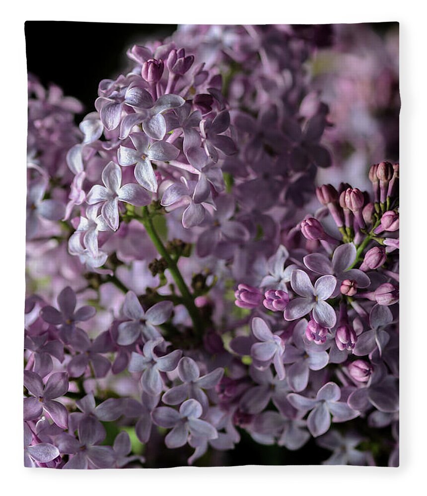 Lilacs Fleece Blanket featuring the photograph Bouquet of Lilacs II by Tamara Becker