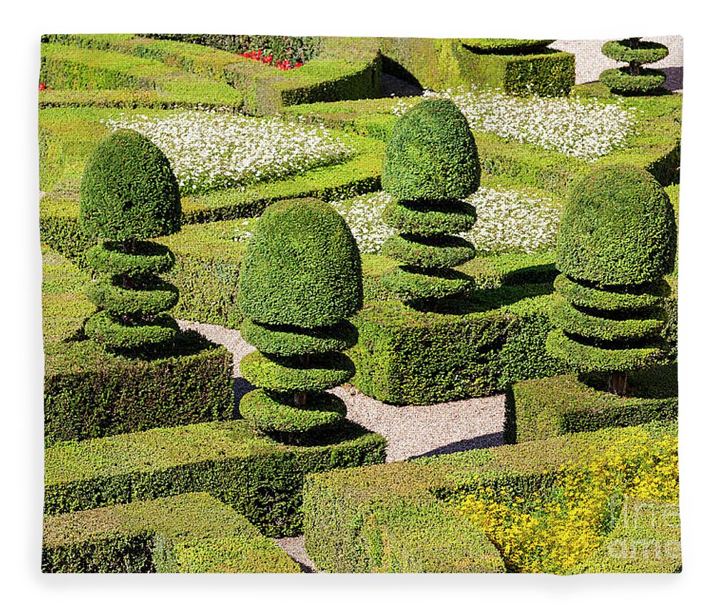 Garden Fleece Blanket featuring the photograph Box Hedges Garden by Heiko Koehrer-Wagner