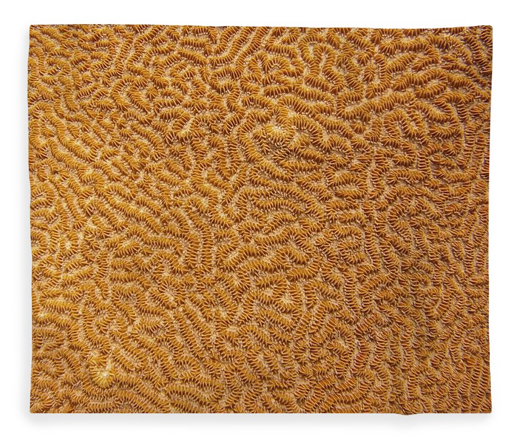 Texture Fleece Blanket featuring the photograph Brain Coral 47 by Michael Fryd