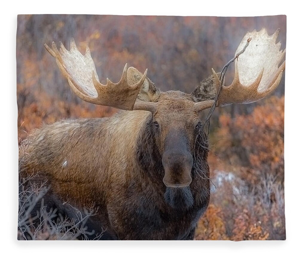 Alaska Fleece Blanket featuring the photograph Branch Breaker by Kevin Dietrich