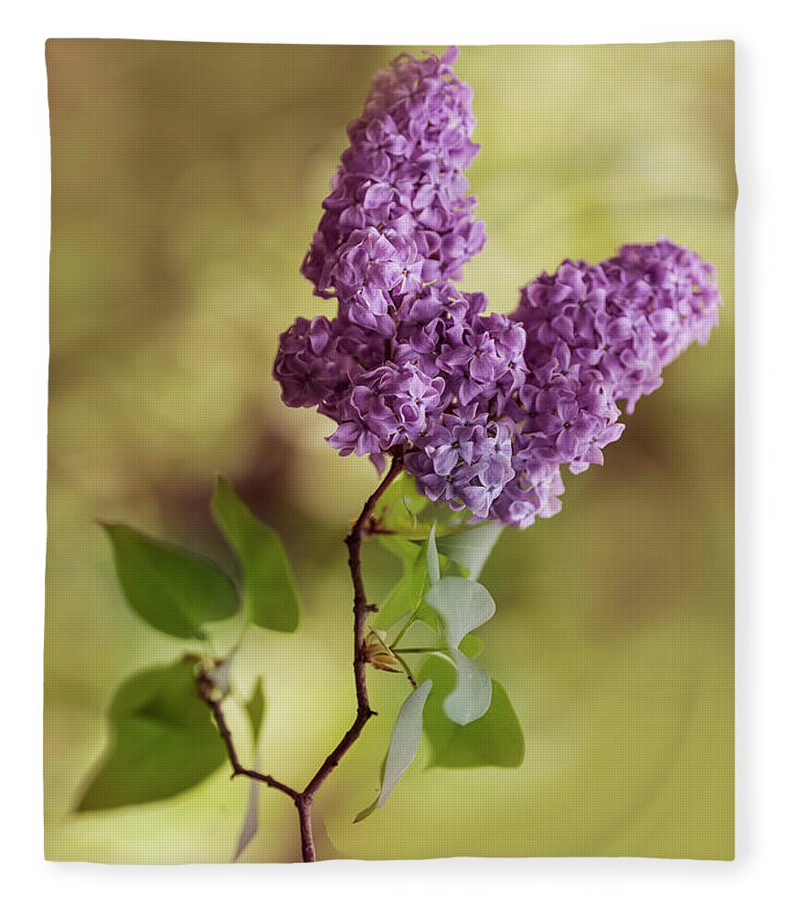 Flower Fleece Blanket featuring the photograph Branch of fresh violet lilac by Jaroslaw Blaminsky