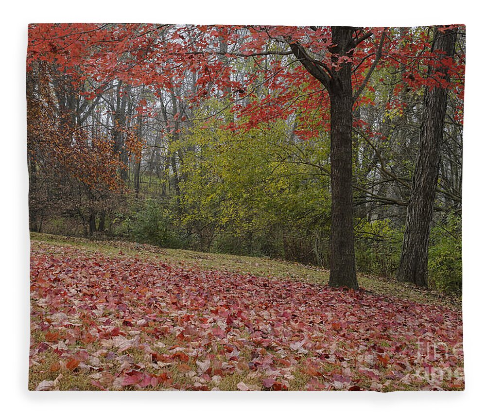 Red Maple Tree Fleece Blanket featuring the photograph Bright Red Maple Tree by Tamara Becker