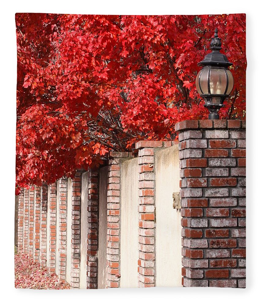 Fall Fleece Blanket featuring the photograph Brilliant Fall by Jeff Floyd CA