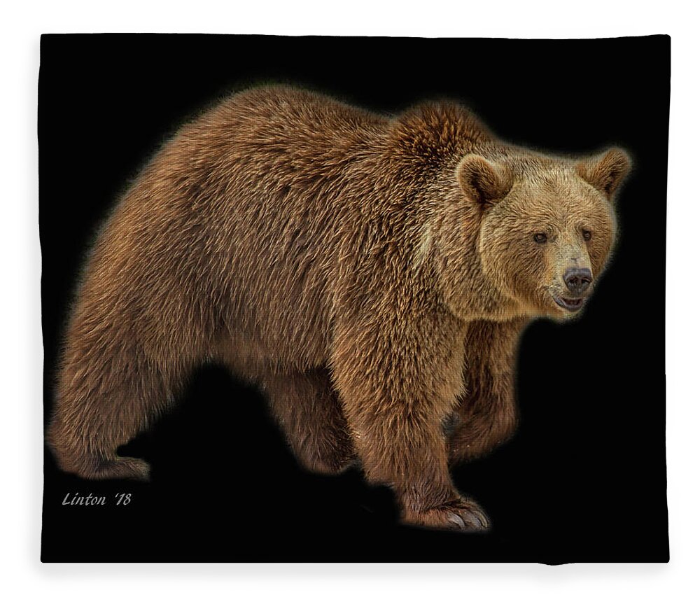 Brown Bear Fleece Blanket featuring the photograph Brown Bear 5 by Larry Linton