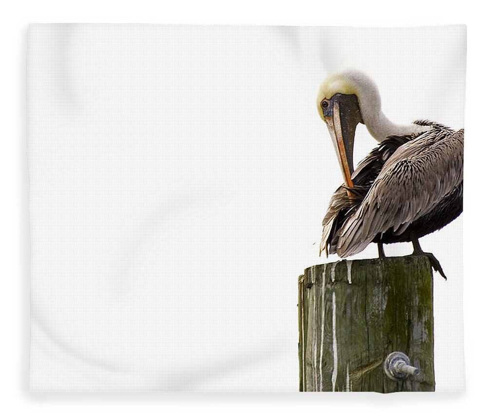 Bird Fleece Blanket featuring the photograph Brown Pelican on Piling by Bob Decker