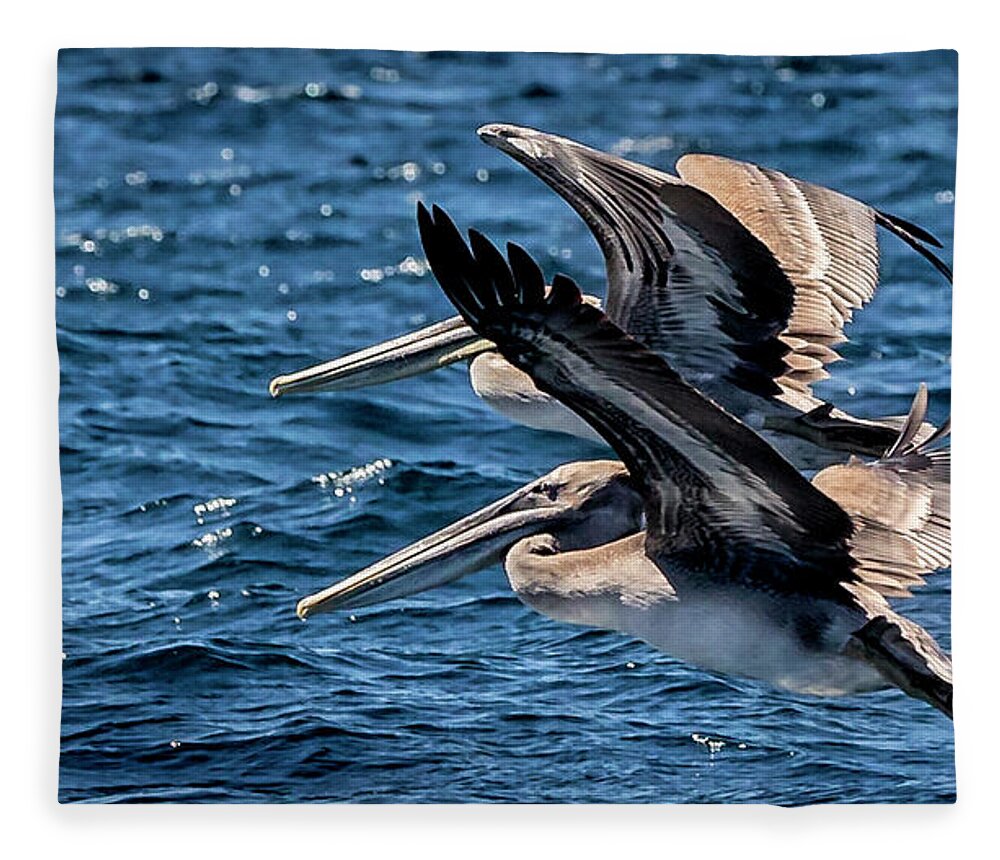 Brown Pelican Fleece Blanket featuring the photograph Brown Pelicans by Endre Balogh