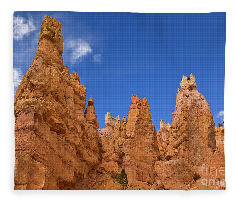 00559157 Fleece Blanket featuring the photograph Bryce Canyon Hoodoos by Yva Momatiuk John Eastcontt
