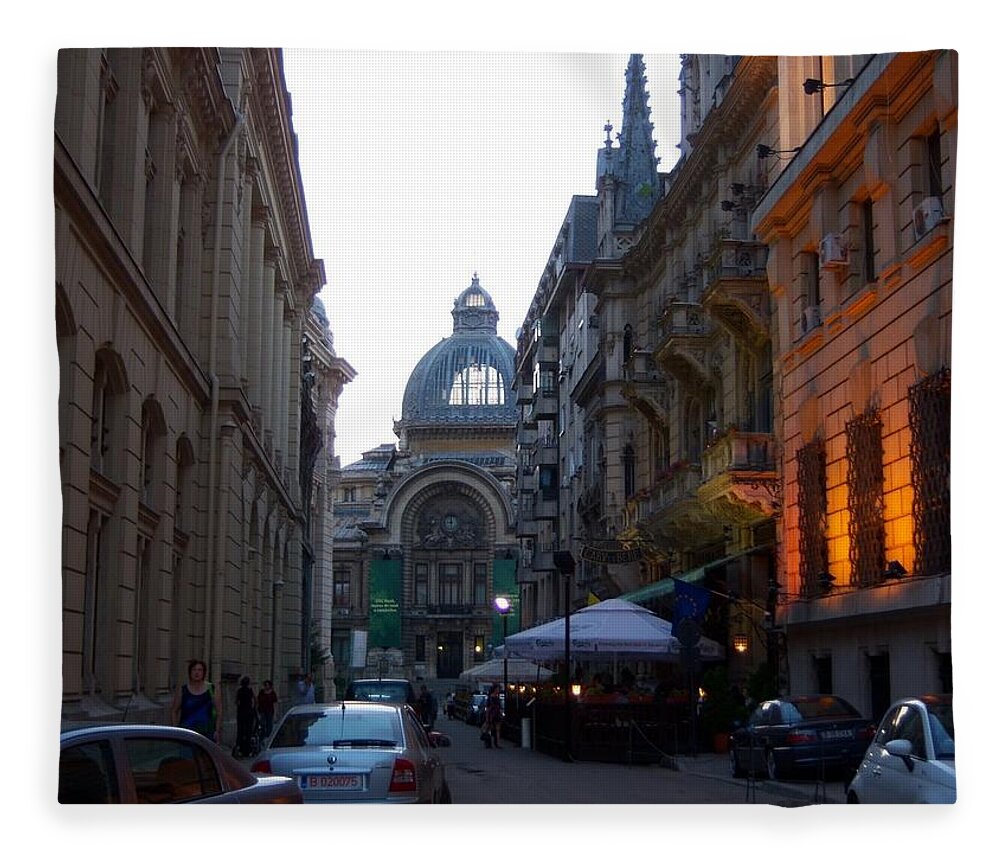 Romania Fleece Blanket featuring the photograph Bucharest 2 by Carole Hutchison