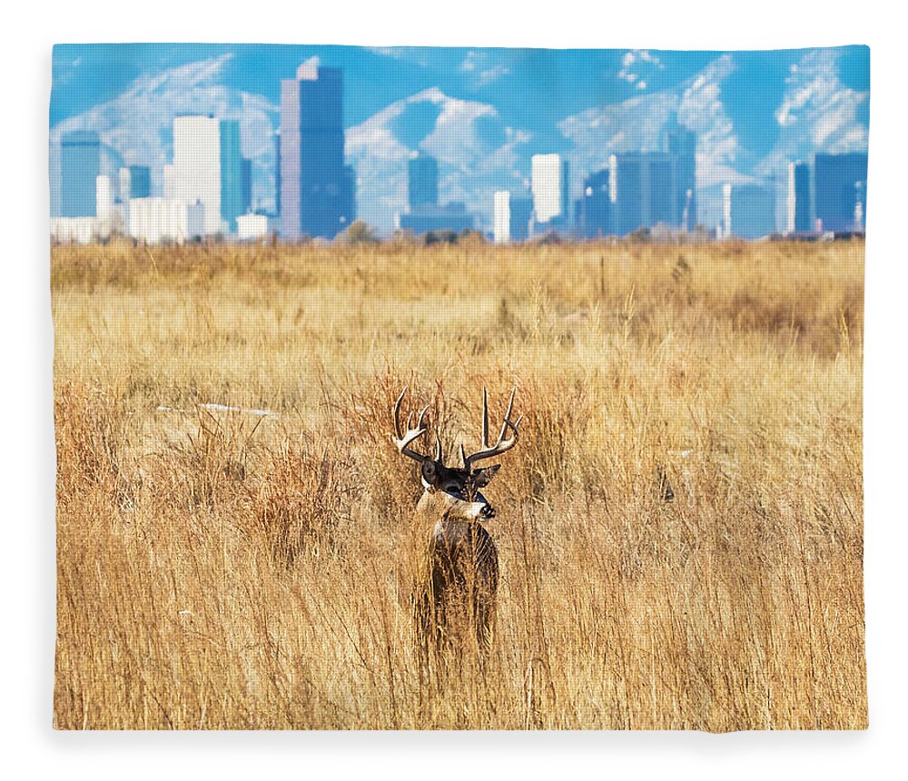 Rocky Mountain Arsenal National Wildlife Refuge Fleece Blanket featuring the photograph Buck and the Denver Skyline by Mindy Musick King