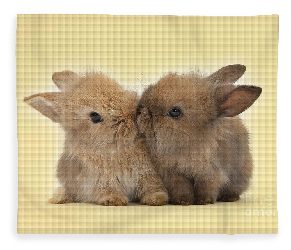 Two Fleece Blanket featuring the photograph Bunny Kisses by Warren Photographic