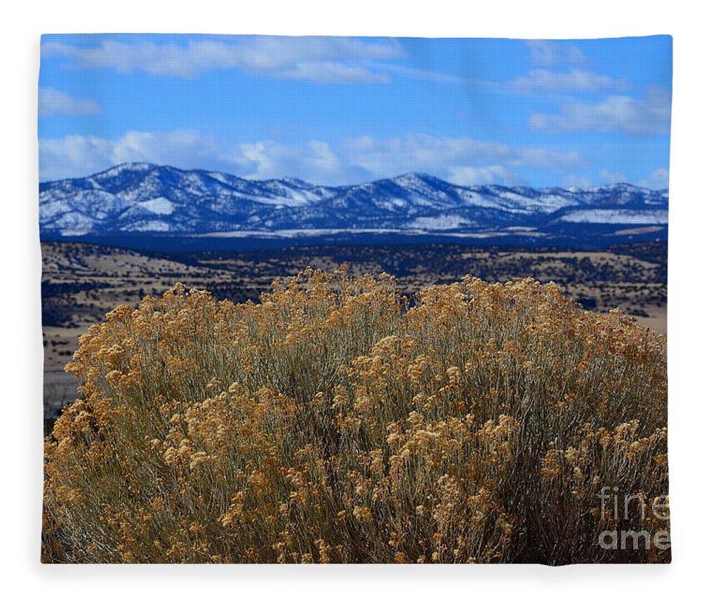 Southwest Landscape Fleece Blanket featuring the photograph Bush with a view by Robert WK Clark