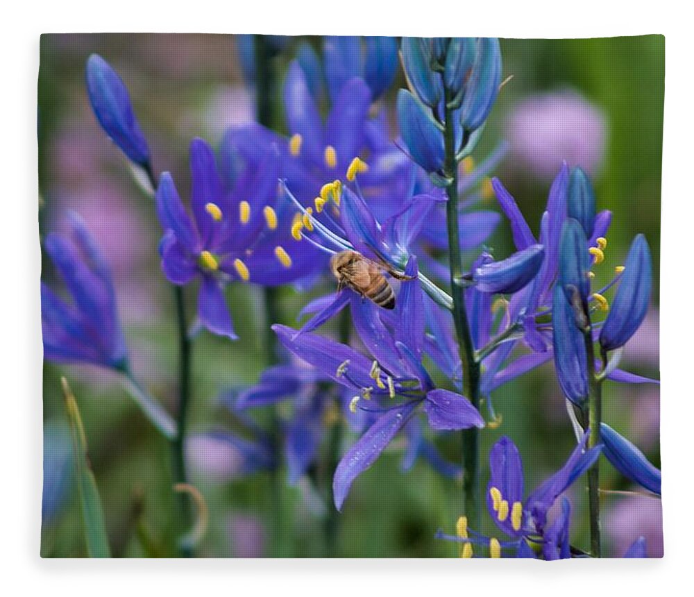 Bee Fleece Blanket featuring the photograph Busy Bee by Brian Eberly
