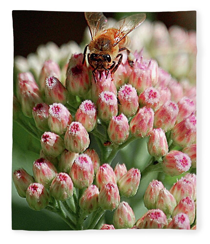Pink Fleece Blanket featuring the digital art Busy Bee by DigiArt Diaries by Vicky B Fuller