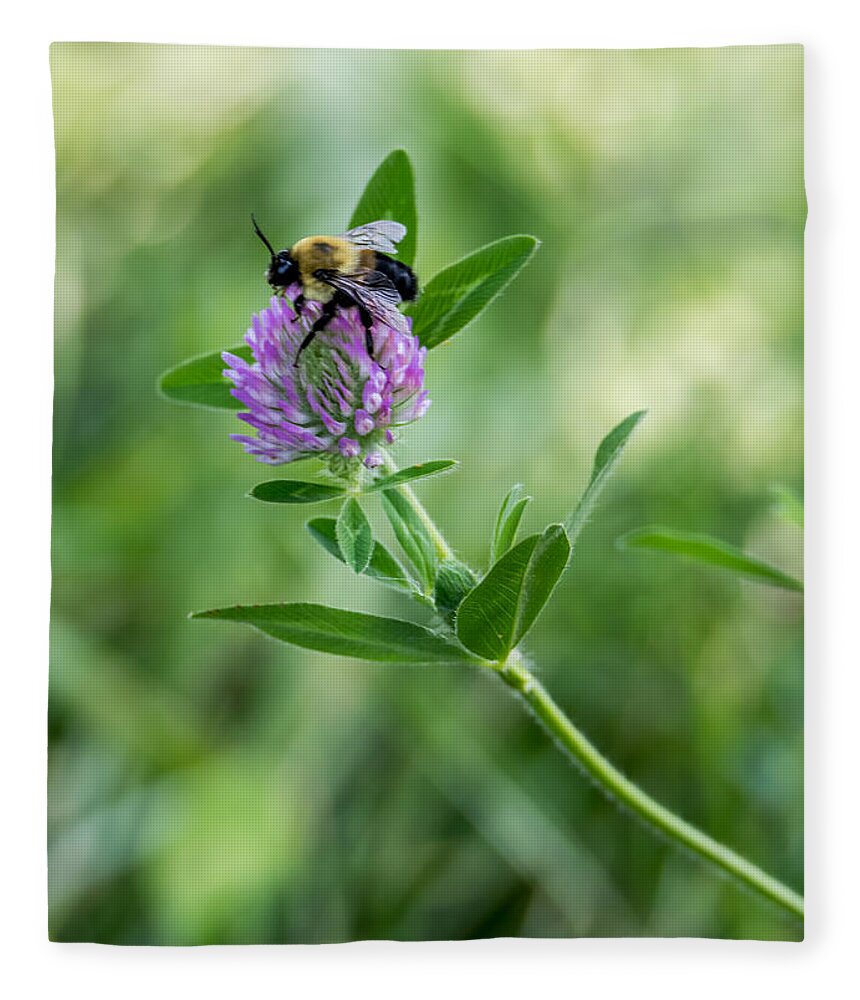 Bee Fleece Blanket featuring the photograph Busy Bee by Holden The Moment