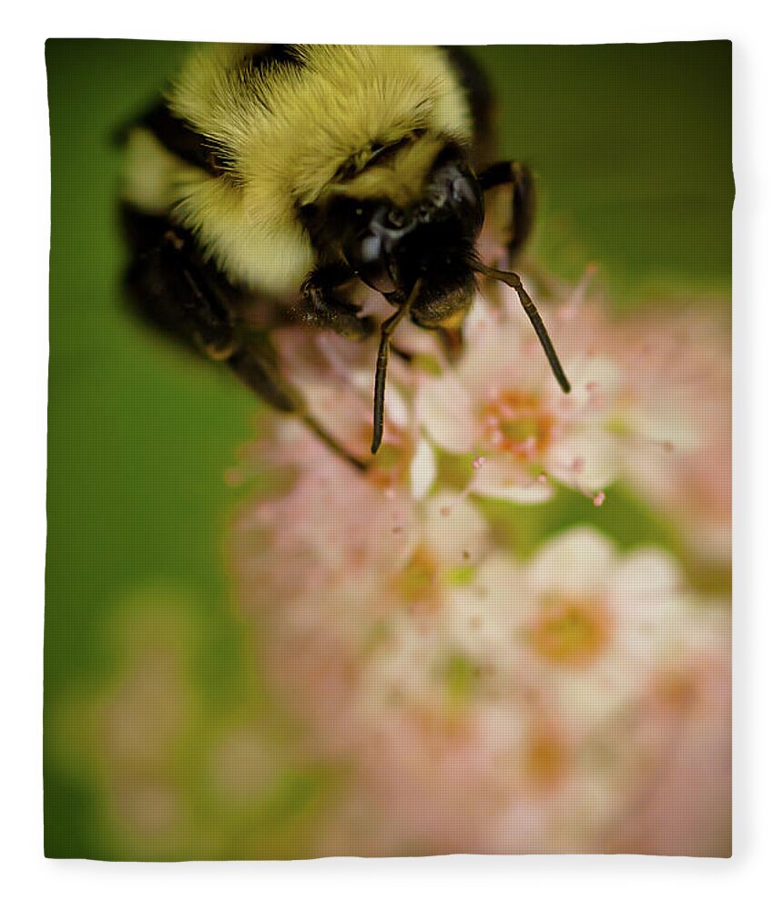 Bee Fleece Blanket featuring the photograph Busy Bee by Sebastian Musial