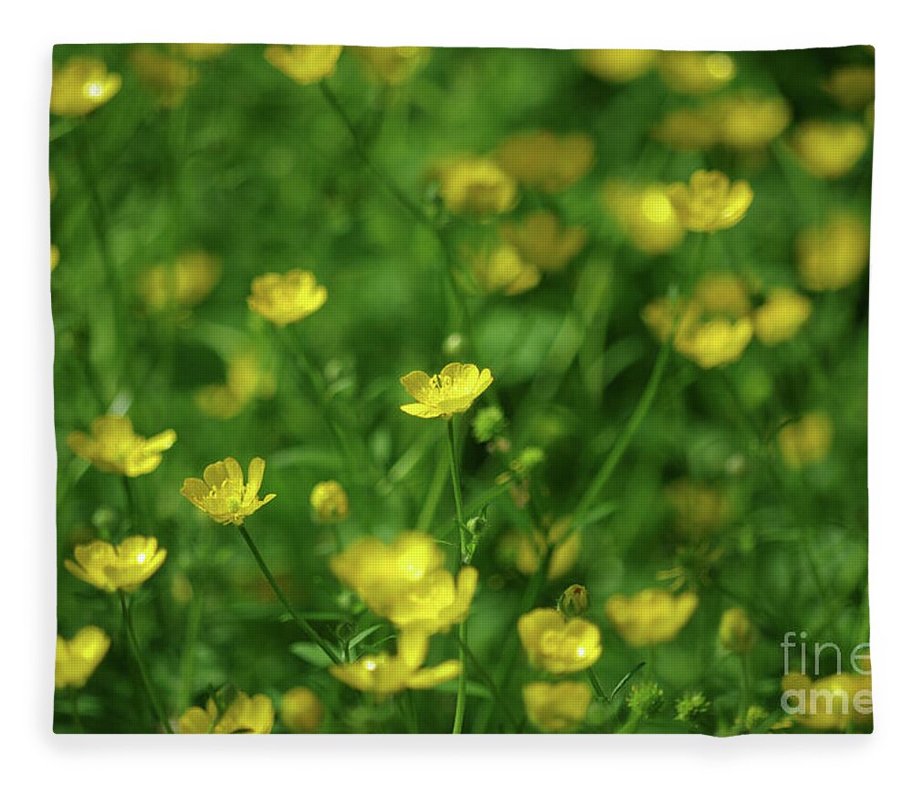 Anther Fleece Blanket featuring the photograph Buttercup Field- Butler Creek Trail- Gresham- Oregon by Rick Bures