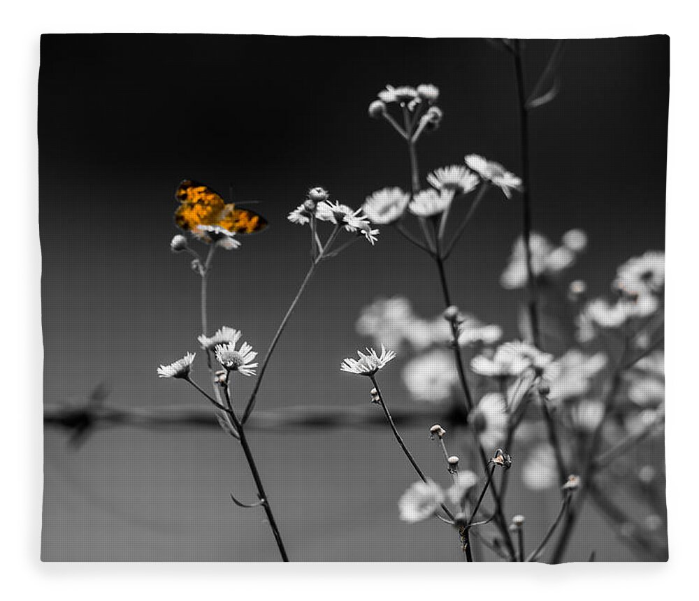 Butterfly Fleece Blanket featuring the photograph Butterfly and Barb Wire by Holden The Moment