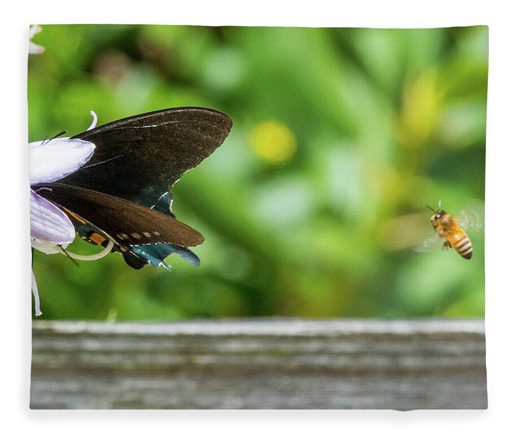 Butterfly Fleece Blanket featuring the photograph Butterfly and Bee by D K Wall