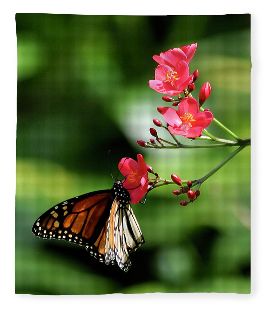 Hawaii Fleece Blanket featuring the photograph Butterfly and blossom by Dan McManus
