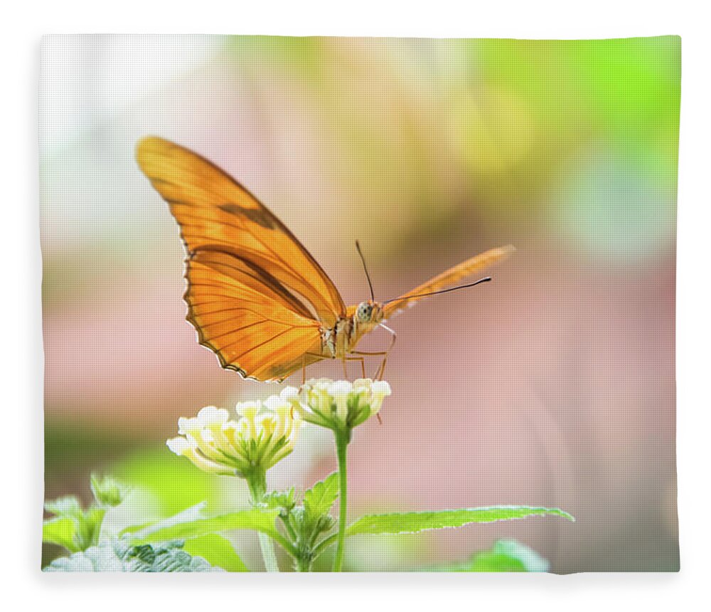 Butterfly Fleece Blanket featuring the photograph Butterfly - Julie Heliconian by Pamela Williams