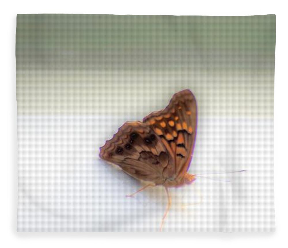Butterfly Fleece Blanket featuring the photograph Butterfly on my car by Merle Grenz