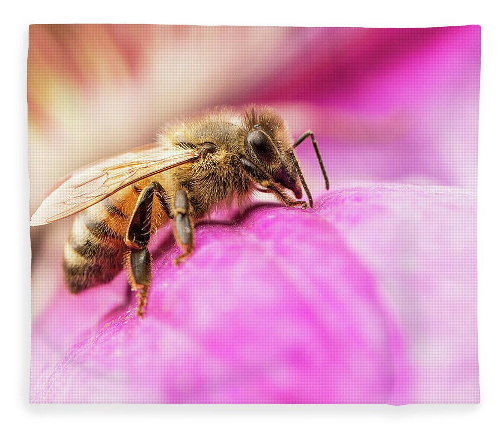 Nature Fleece Blanket featuring the photograph Buzz by Bob Cournoyer