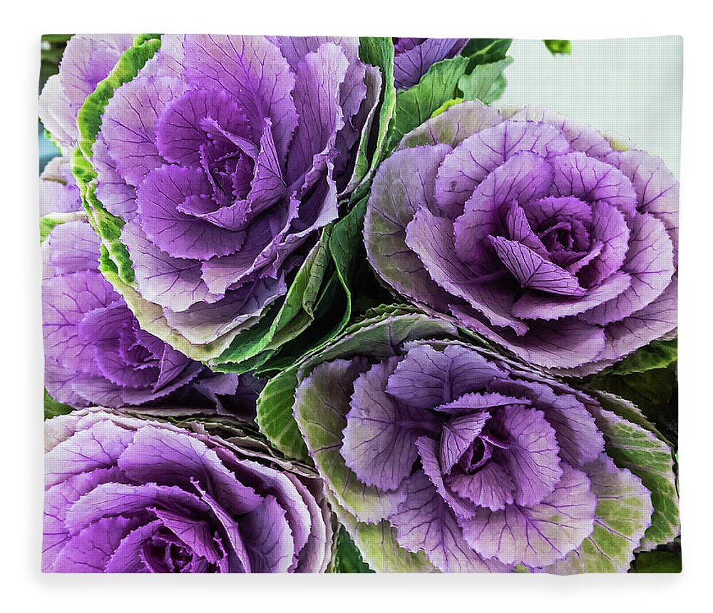 Cabbage Flower By Marina Usmanskaya Fleece Blanket featuring the photograph Cabbage Flower by Marina Usmanskaya