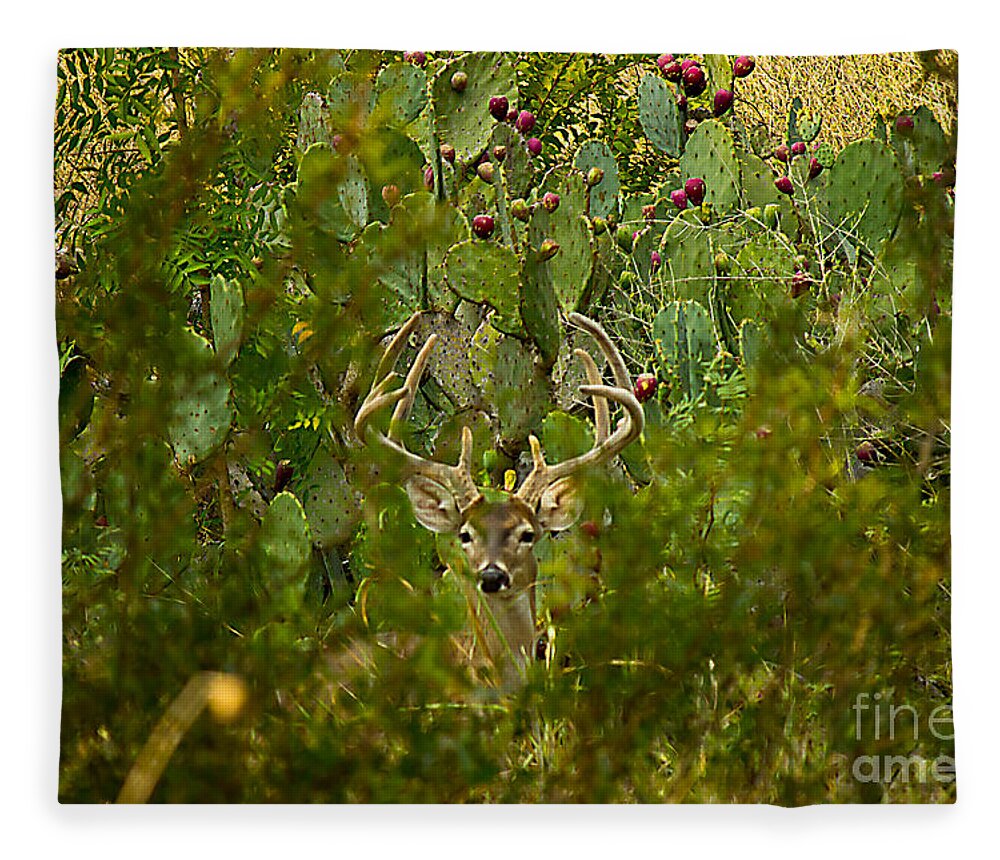 Michael Tidwell Photography Fleece Blanket featuring the photograph Cactus Buck by Michael Tidwell